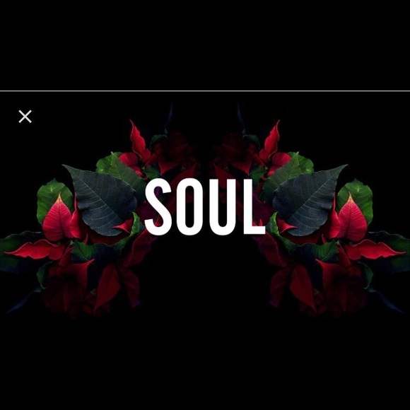 Meet your Posher, Taylor - Picture 1 of 1